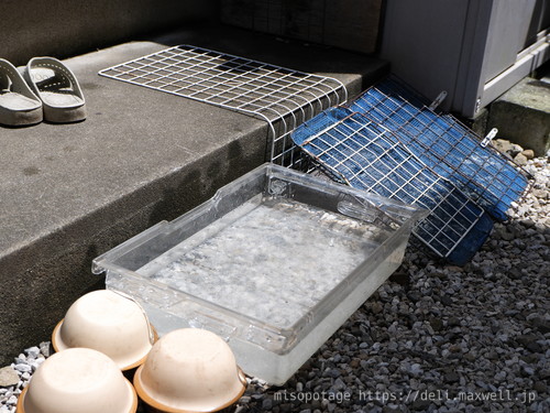 【写真】亀の水場 その1