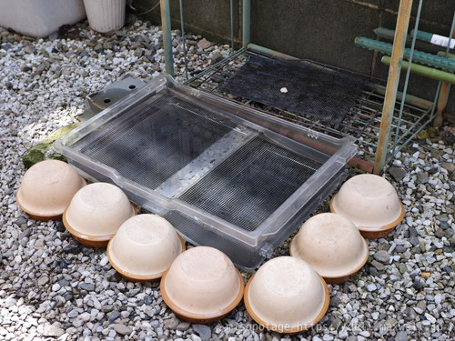 【写真】亀の水場 その2 深さ2段階（写真左奥側が浅い）