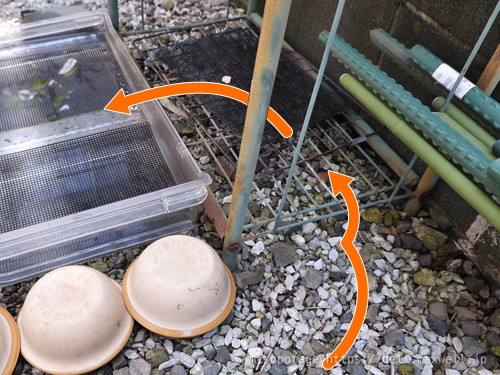 【写真】亀の水場 その2 チビ様入口はこちら