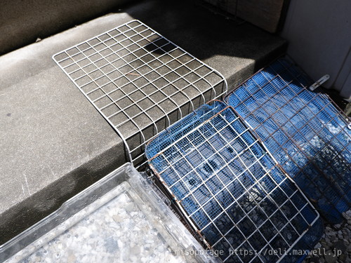 【写真】亀用の坂道